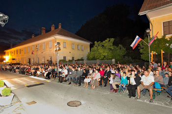 Kaj morate vedeti, če organizirate prireditev?