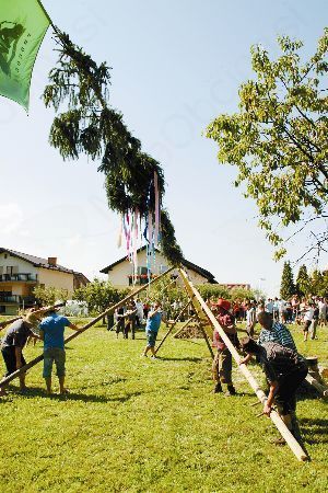 "Furmani po cest' peljajo"