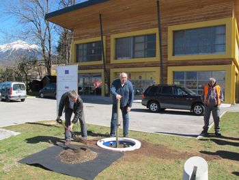 Zasaditev lipe pred čebelarskim centrom