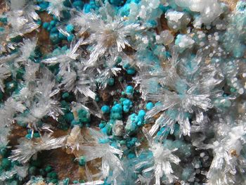 Otvoritev Geološke tematske poti  - odsek Remšnik in Muzeja mineralov Remšnik 