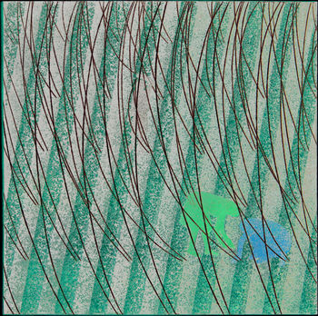 IZ ZAKLADNICE SLOVENSKE GRAFIKE - TINCA STEGOVEC