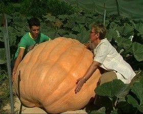Zbor članov Društva gojiteljev buč velikank