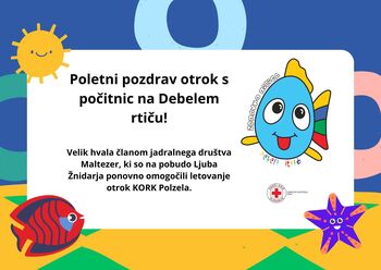 Poletni pozdrav z Debelega rtiča