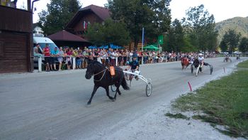Zaletel Aleksander in poni Luka Valvazor tretja na Igu