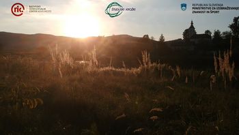 Študijski krožek Učenje v labirintu narave: Joga v naravi Študijski krožek Učenje v labirintu narave: Joga v naravi