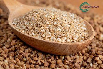 Znanstvena srečanja - Ajdova zrna