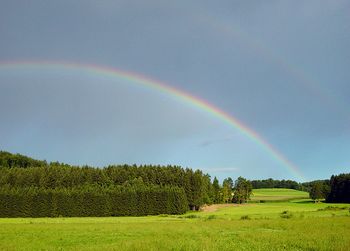 "Rojstni kraj oblikuje, zaznamuje naš značaj."