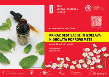 Prikaz destilacije in izdelava hidrolata poprove mete