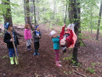 TRIM STEZA NA GORICI