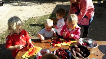 1.OBOGATITVENI DAN V VRTCU – DAN RDEČE PESE