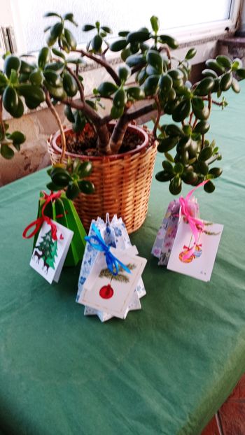 Novoletna obdaritev starejših