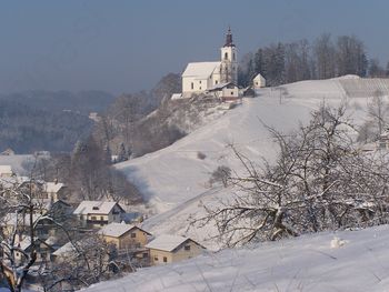 Obvestilo oškodovancem – pozeba in zapadli sneg na območju občine Obvestilo oškodovancem – pozeba in zapadli sneg na območju občine