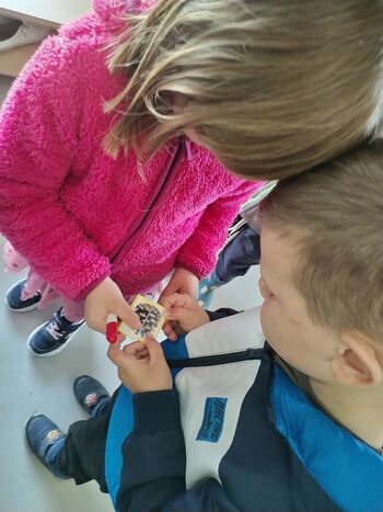 Raziskovanje podzemnega sveta: Izdelava gozdnega terarija za deževnike