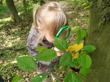 Raziskovanje podzemnega sveta: Izdelava gozdnega terarija za deževnike