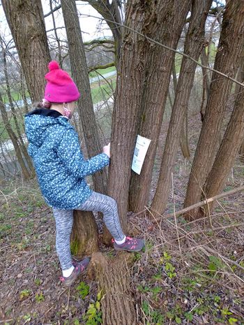 Praznična orientacija