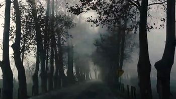 Videorazglednica iz Urugvaja in predstavitev nove rezidentke v humanistični rezidenci Branislave Sušnik