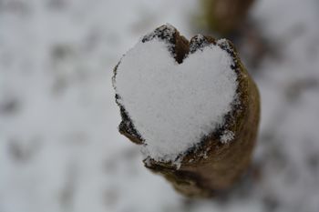 Starejši in mlajši za starejše Starejši in mlajši za starejše