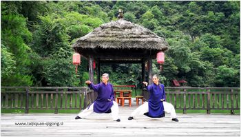 Tečaj kitajskih veščin gibanja, taijiquan in qigong