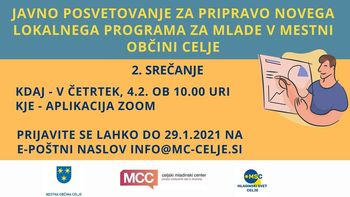 Javno posvetovanje za pripravo novega lokalnega programa za mlade v MOC 2.srečanje