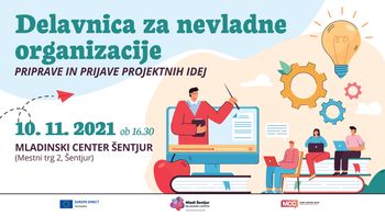 Delavnica za nevladne organizacije