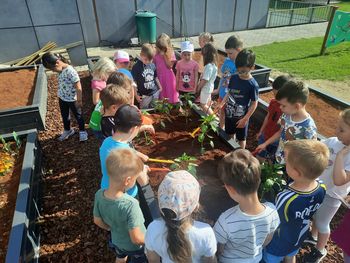 Postavitev visokih gred v vrtcu Postavitev visokih gred v vrtcu