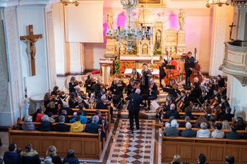 Visoka kultura v Borovnici