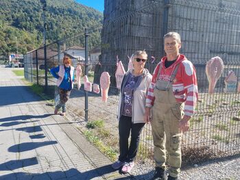 Borovnica znova ovita v rožnato 