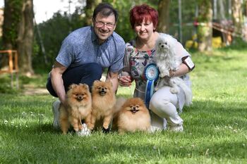 Živa igračka in Park pod tisočerimi zvezdami