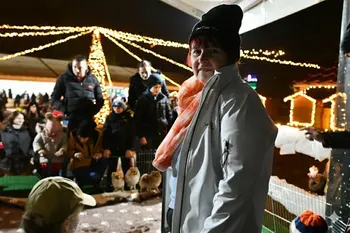 Razstava psov v Parku pod tisočerimi zvezdami