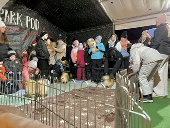 Razstava psov v Parku pod tisočerimi zvezdami