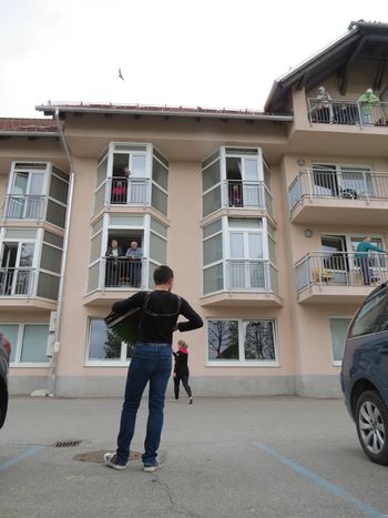 Veselje ob harmoniki