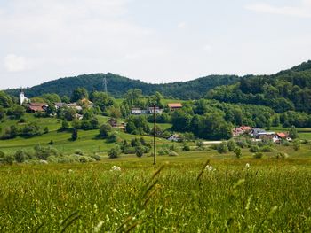 Nagradni fotonatečaj z naslovom »LEPOTE HORJULSKE DOLINE«