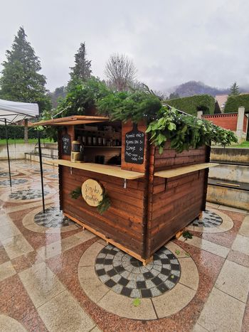 Zimska pravljica: Koncert mešanega pevskega zbora PD Horjul na Občinskem trgu in vožnja s praznično kočijo