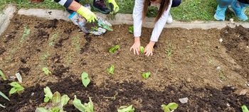Prva praktična delavnica na šolskem vrtu Osnovne šole Horjul