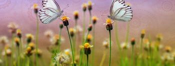 TRI VRSTE SREČE: PREDAVANJE V KNJIŽNICI VOJNIK