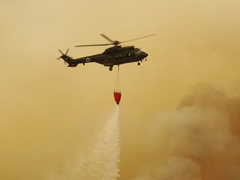 Kar nekaj manjših žarišč neprestano izziva gasilce