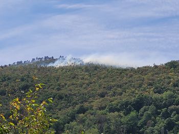 Slovenski gasilci na pomoč tudi na italijansko stran