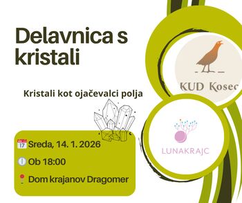 DELAVNICA S KRISTALI – KRISTALI KOT OJAČEVALCI POLJA 