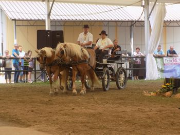 Izlet v Gornjo Radgono