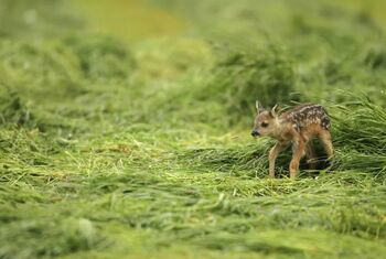 Tehnologija, ki rešuje nemočne