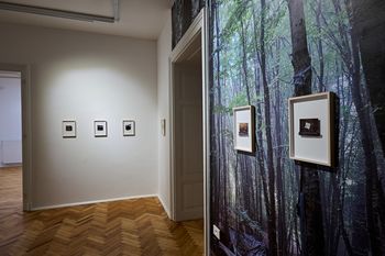 Vodstvo po razstavi Onkraj meja 