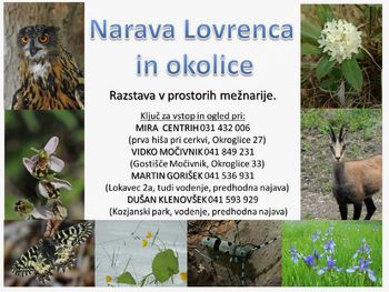 Razstava NARAVA LOVRENCA IN OKOLICE