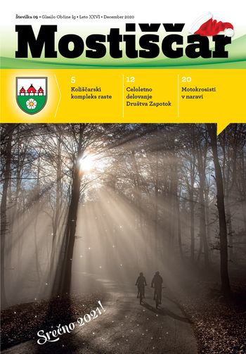 Decembrski Mostiščar