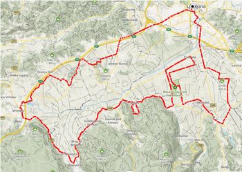 Barjanka se bo ustavila na Igu