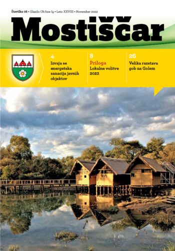 Novembrski Mostiščar