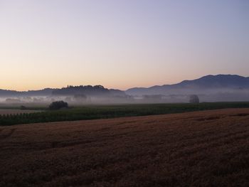 Predavanje Življenje z barjem v zgodnjem srednjem veku 