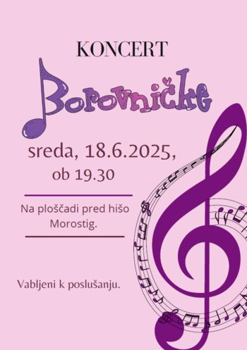 Koncert Borovničk