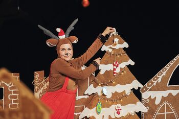 Abonma Bobrček - Mirko in čarobne lučke