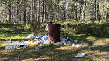 Čistilna akcija 2026