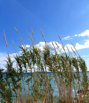 Bodi ti in najdi samo sebe (delavnica)